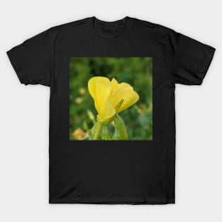 Wild Yellow Flower on a Walk Photographic Image T-Shirt